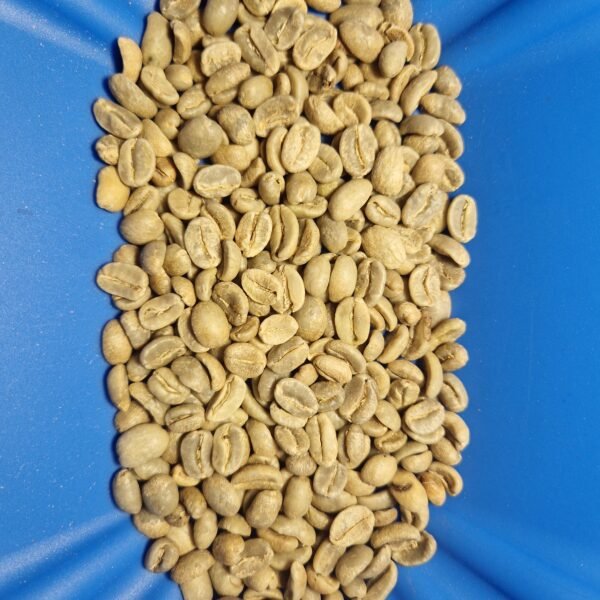 Café vert Colombie - Huila