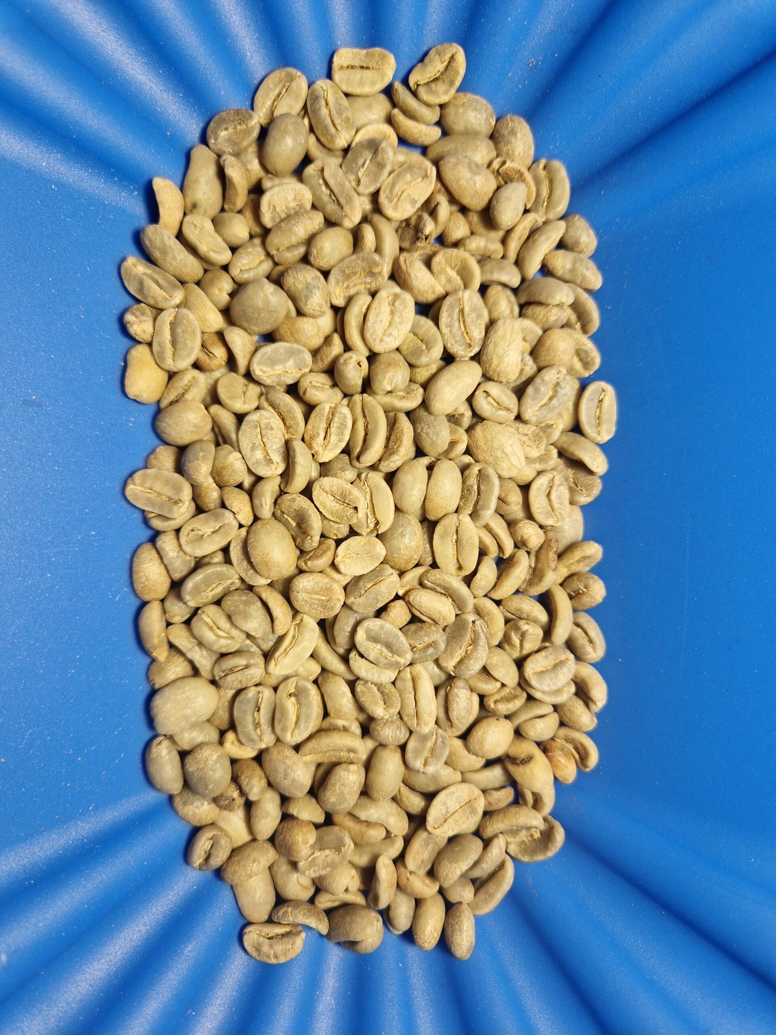 Café vert Colombie - Huila