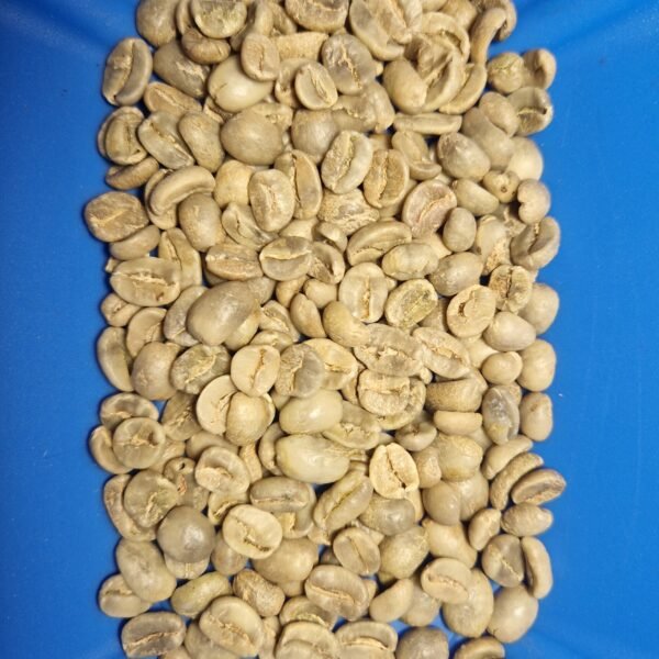 Café vert Honduras - Marcala