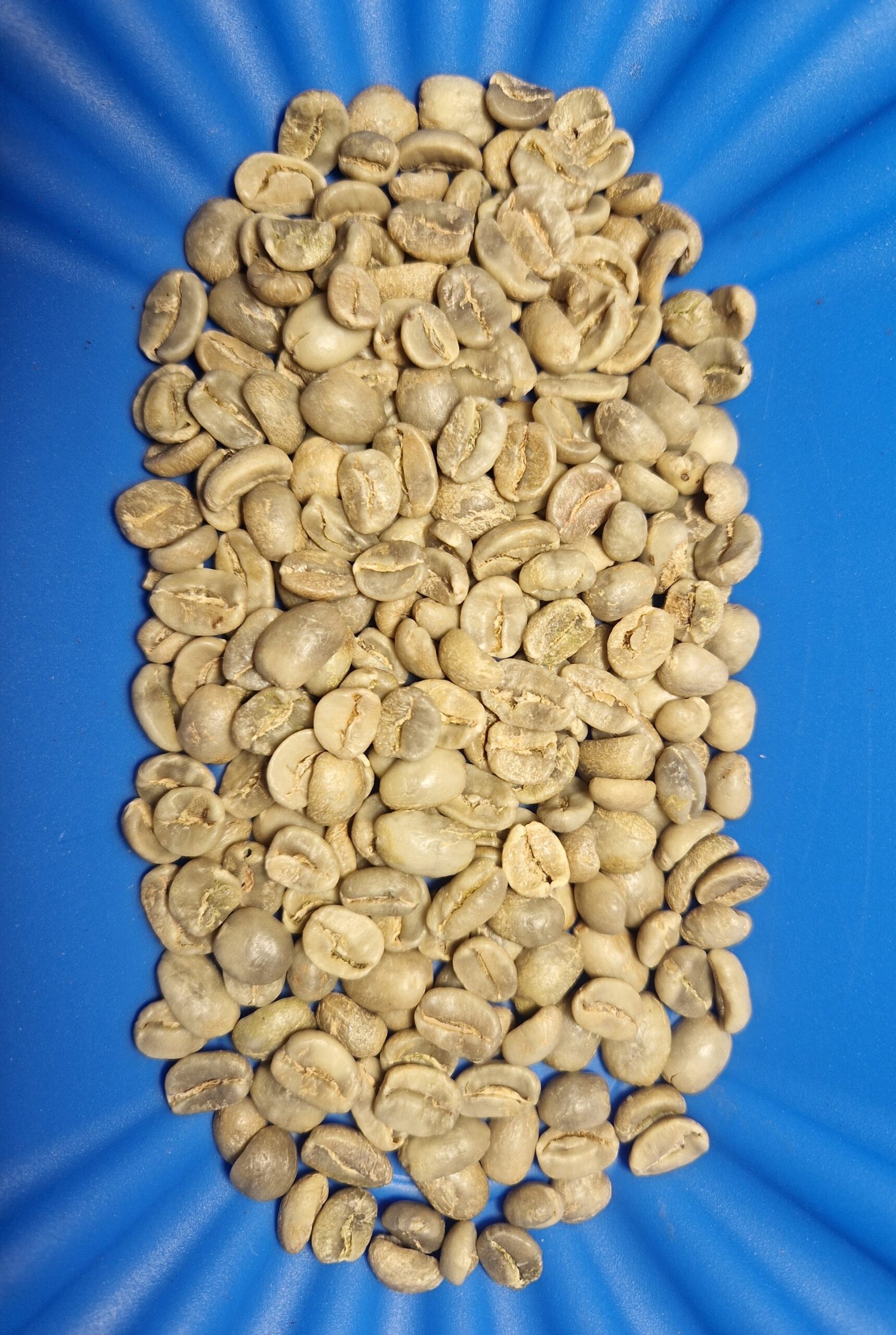 Café vert Honduras - Marcala