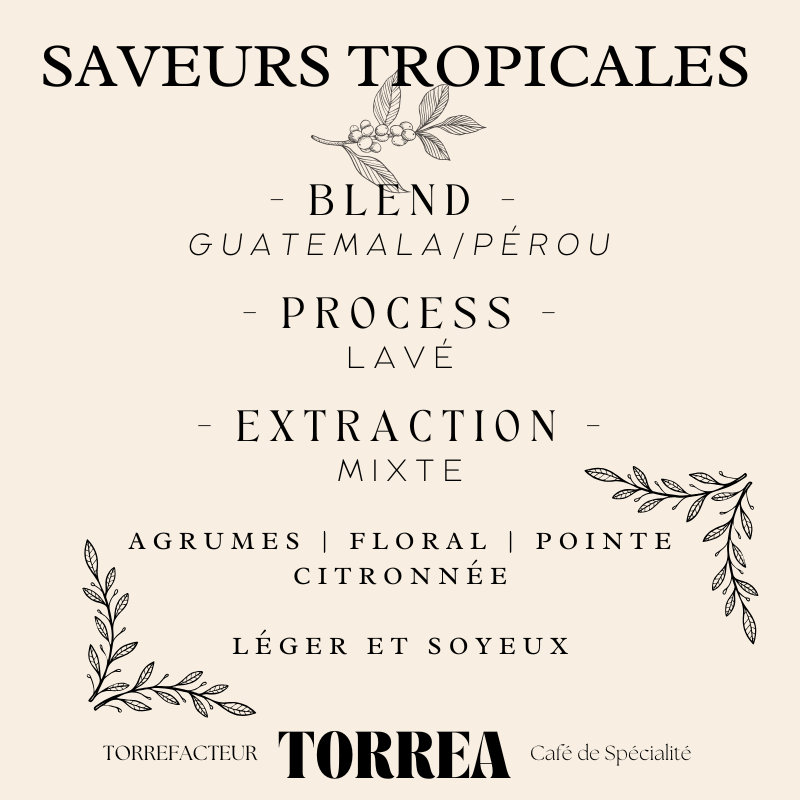 Blend Saveurs Tropicales - Café premium 60% Guatemala Kitché 40% Pérou El Palomar aux notes florales et d'agrumes pour dégustation journée