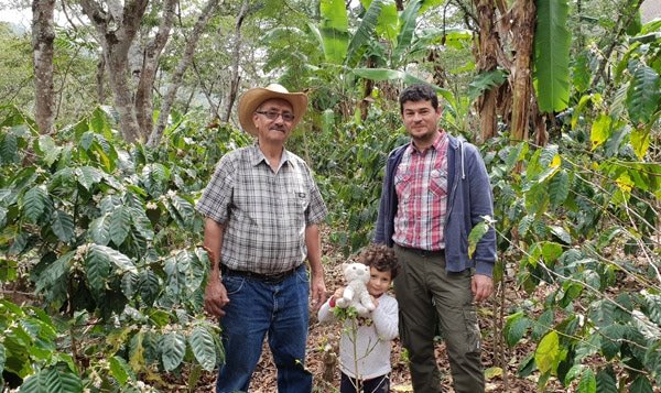 Café Capucas – Grand cru bio et équitable du Honduras, variétés Bourbon rouge et Catuaï