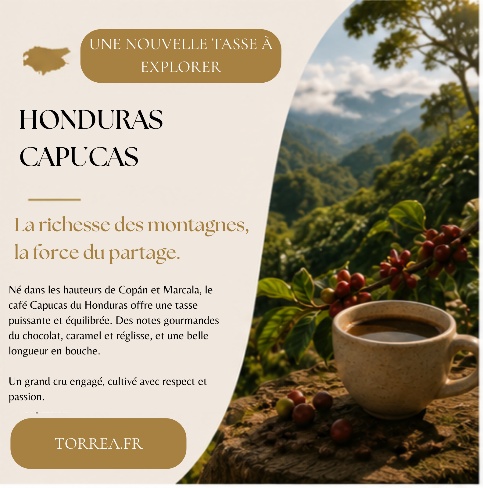 Café